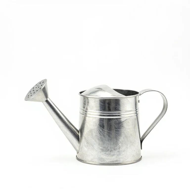 a galvanised watering can with a rose spout, side view, single item fully visible and centred...