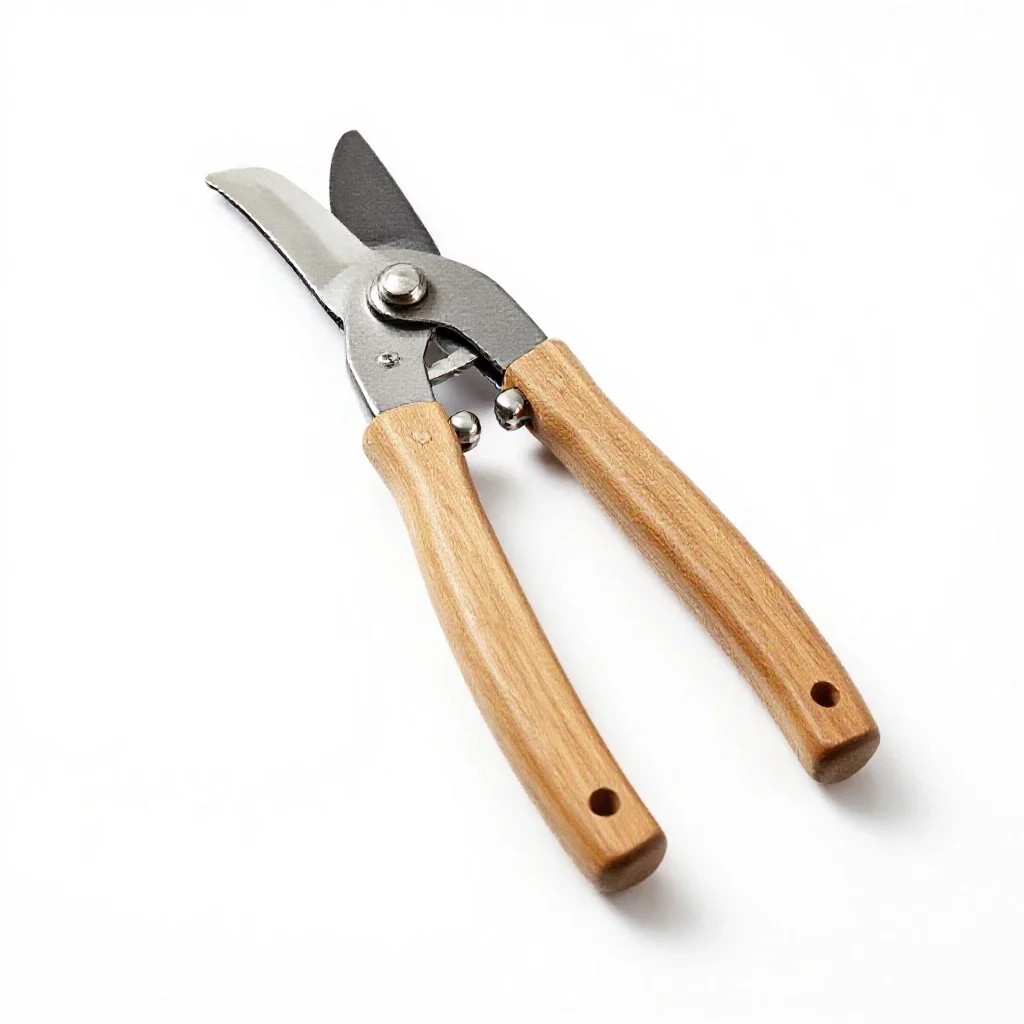 Hedge shear isolated on a white background