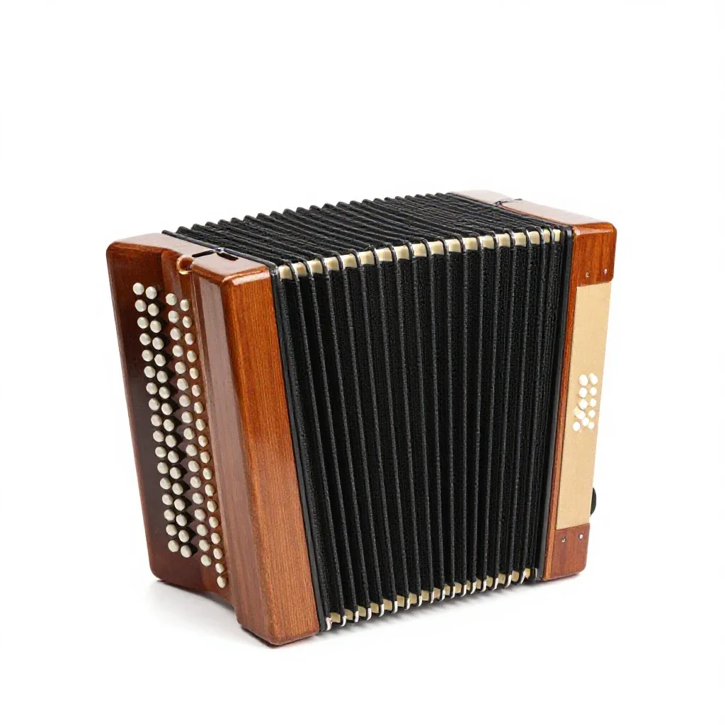 Concertina isolated on a white background