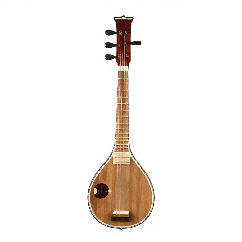 Sitar isolated on a white background