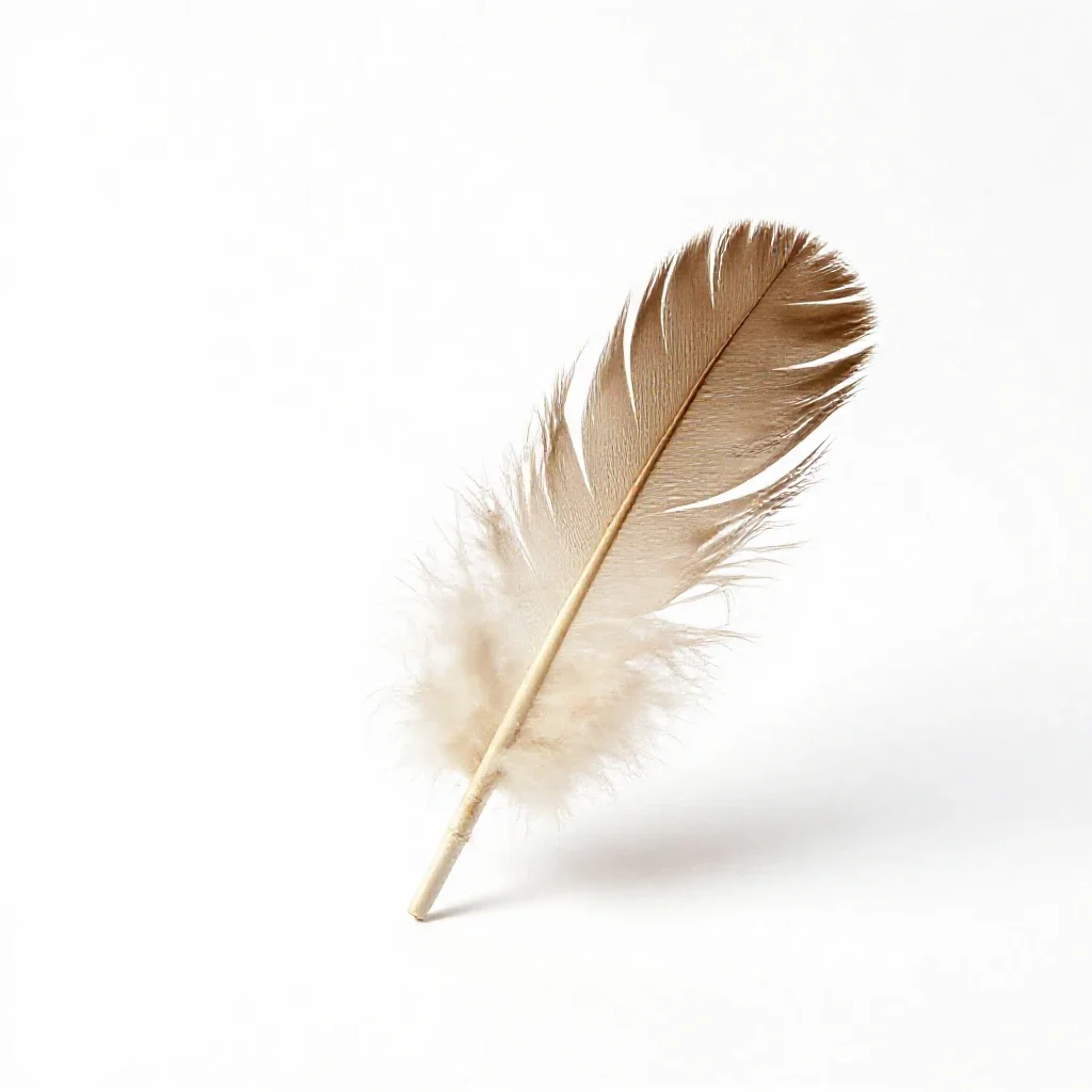 Feather wand toy isolated on a white background