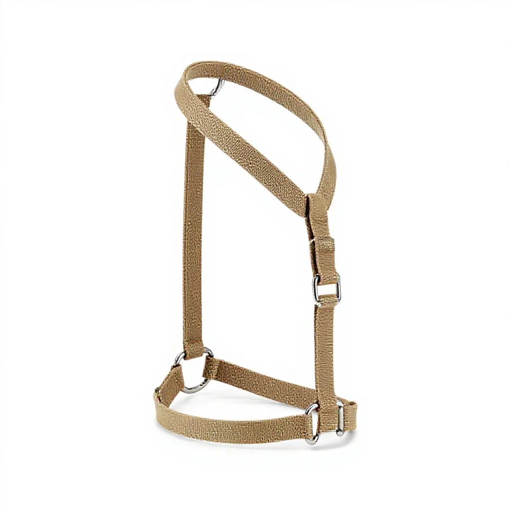 Harness with a handle isolated on a white background