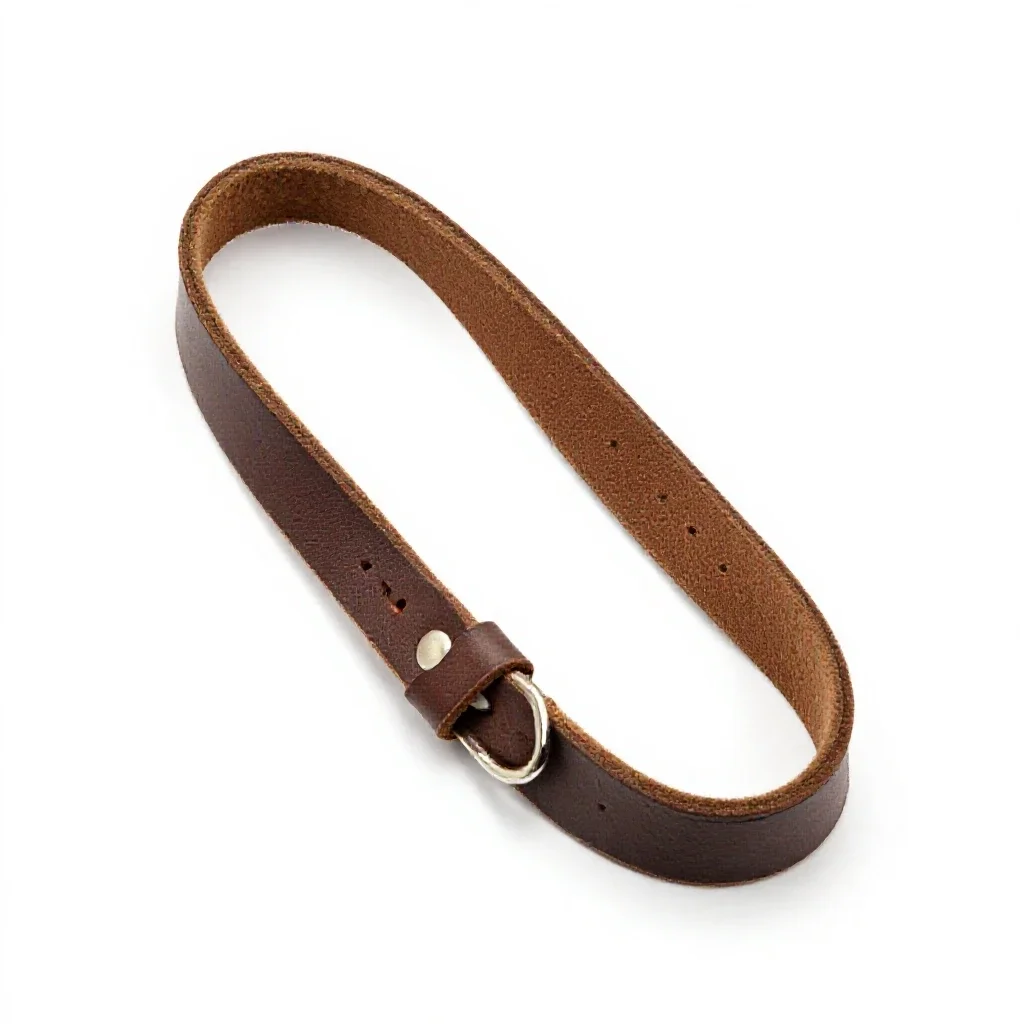 Leather dog lead isolated on a white background