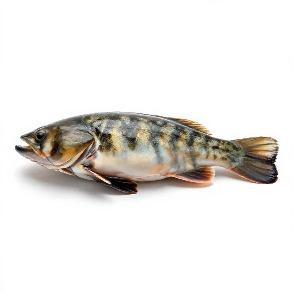 Cherrystone isolated on a white background