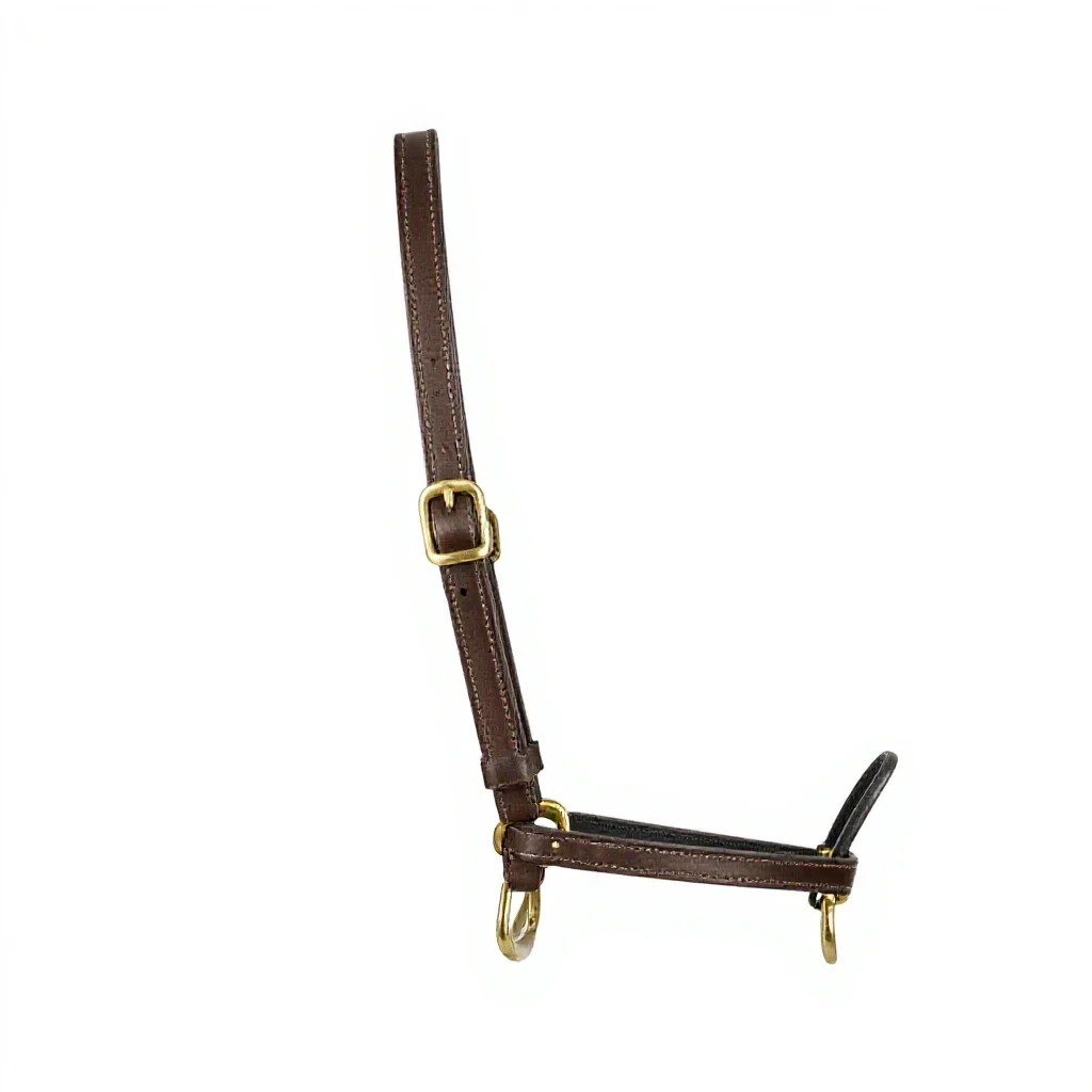 Bridle with brass fittings isolated on a white background