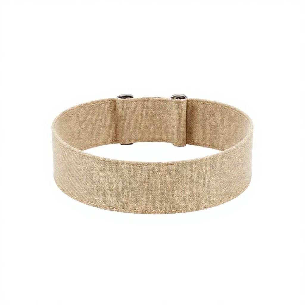 Translator collar isolated on a white background