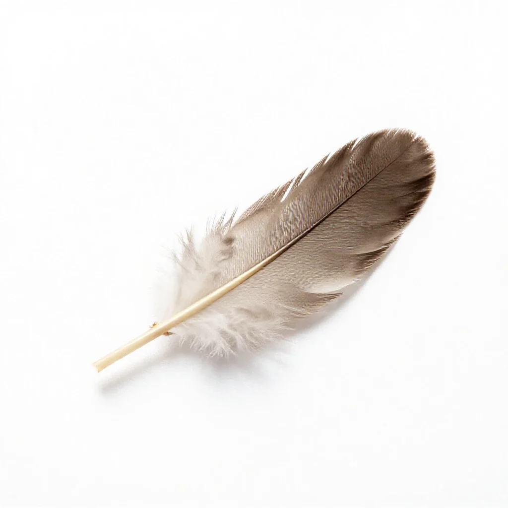 Bastard wing isolated on a white background