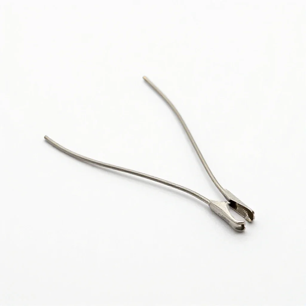 Clip lead isolated on a white background