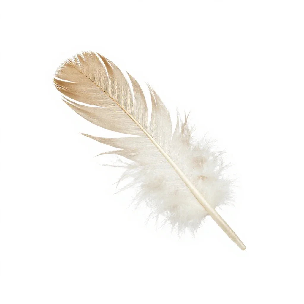 Feather wand toy isolated on a white background