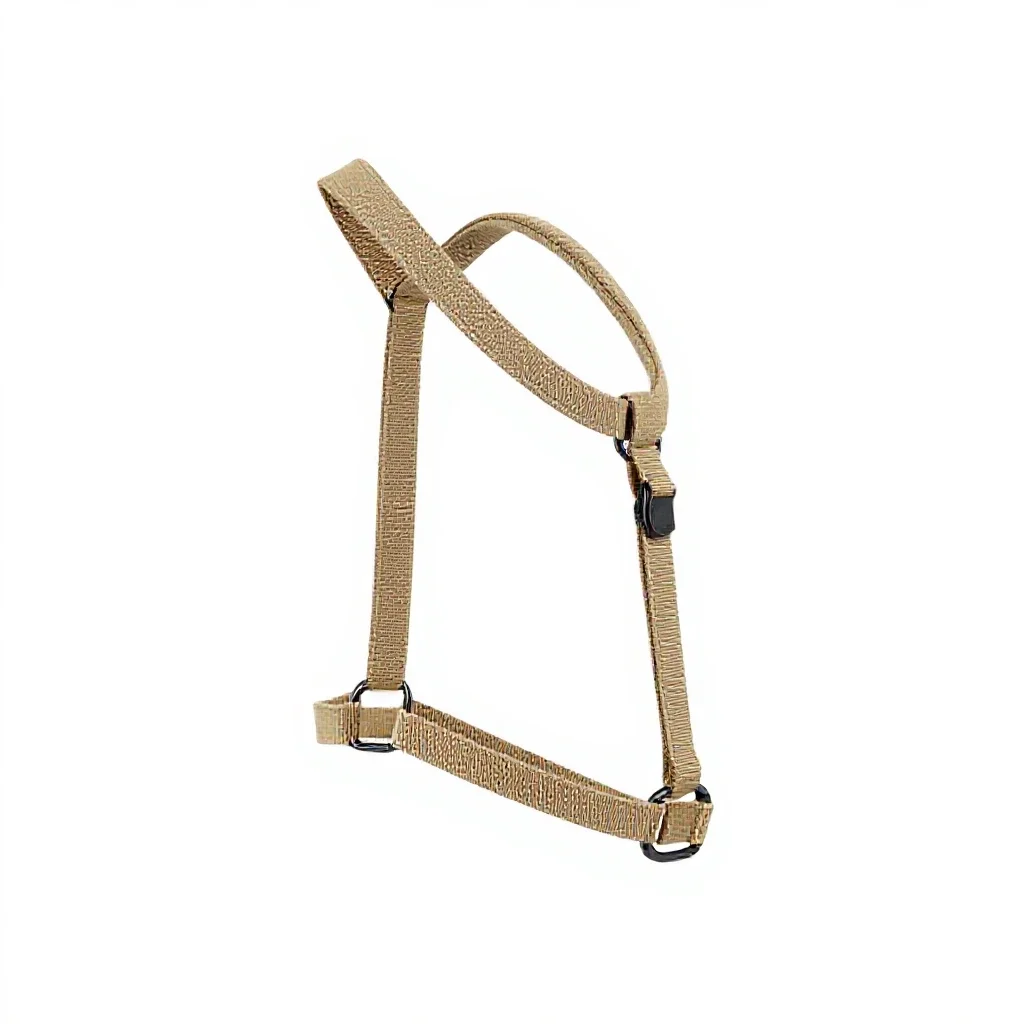 Harness with a handle isolated on a white background