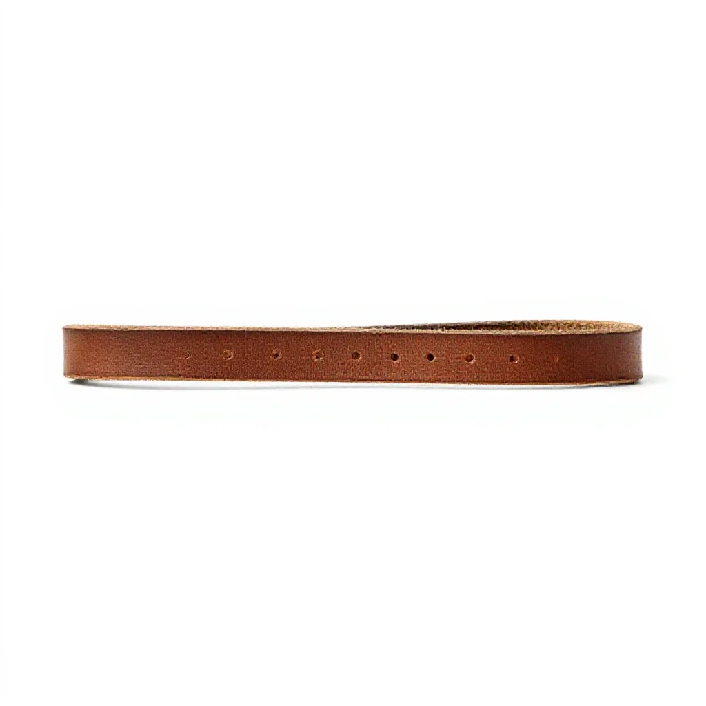 Leather dog lead isolated on a white background