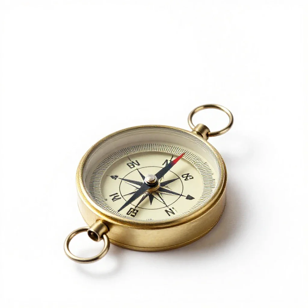 Gyrocompass isolated on a white background
