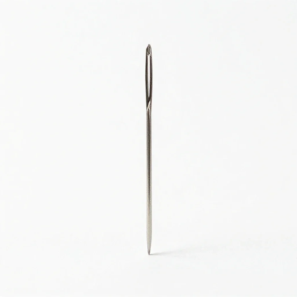 Packing needle isolated on a white background