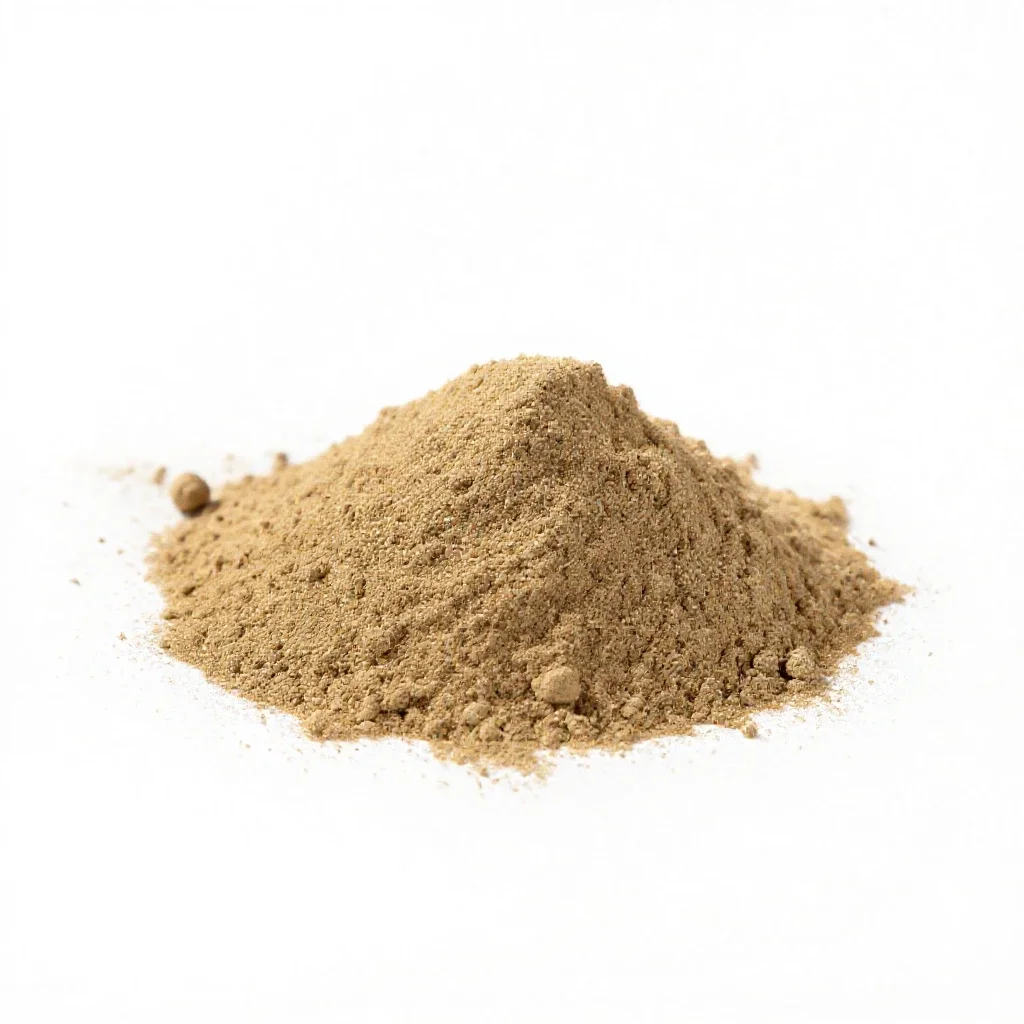 Powder and shot isolated on a white background