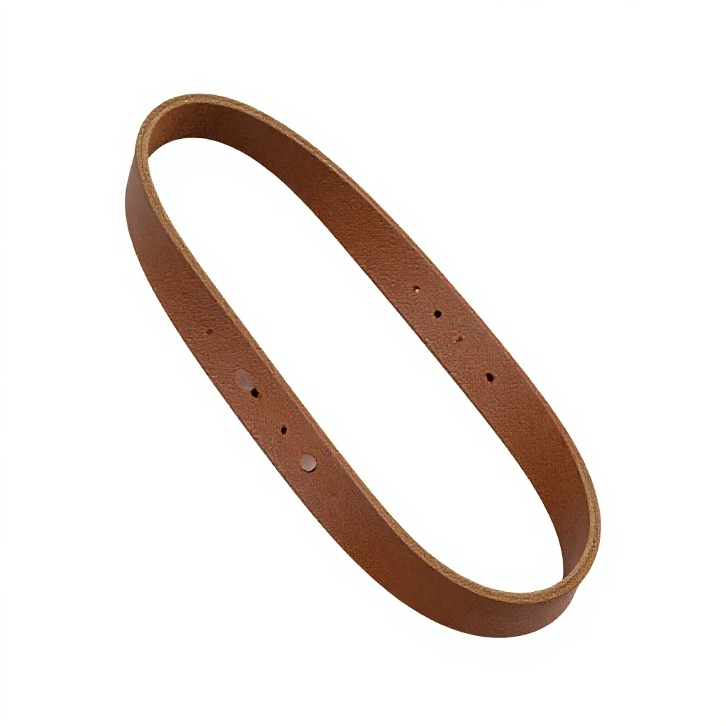 Leather dog lead isolated on a white background