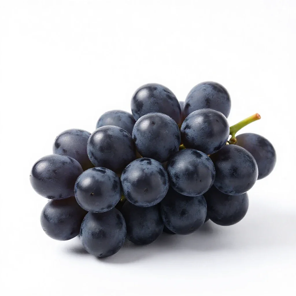 Bunch of black grapes isolated on a white background