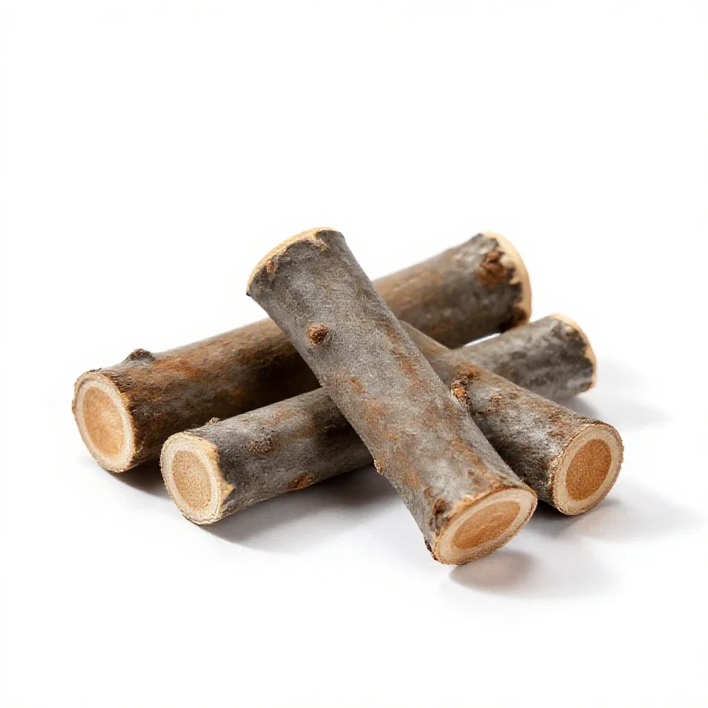 Cinchona isolated on a white background