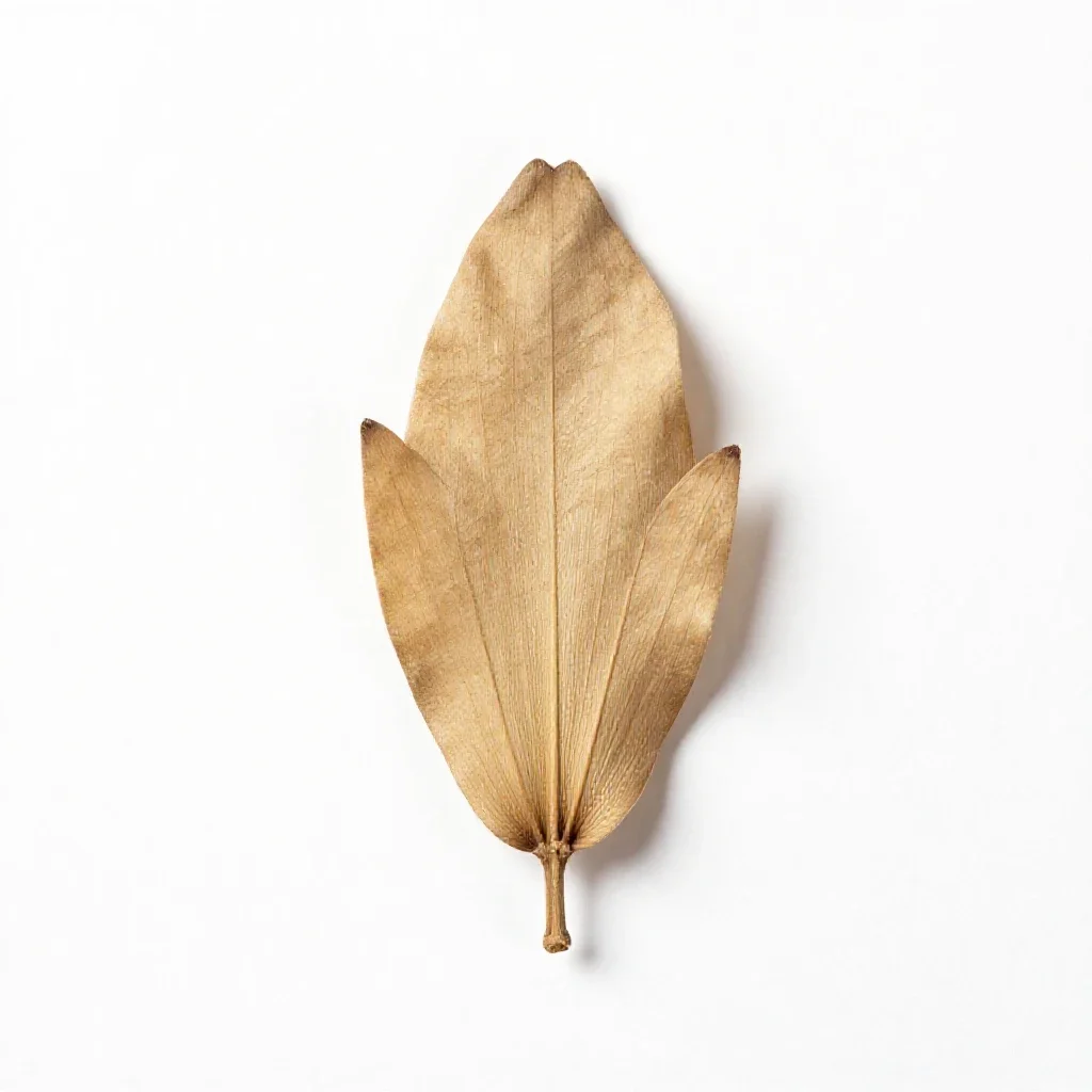 Glume isolated on a white background