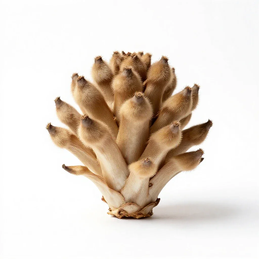 Spathe isolated on a white background