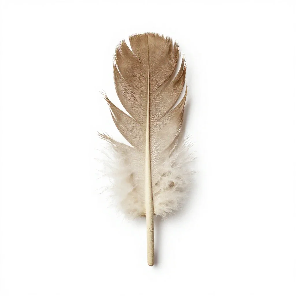 Feather wand toy isolated on a white background