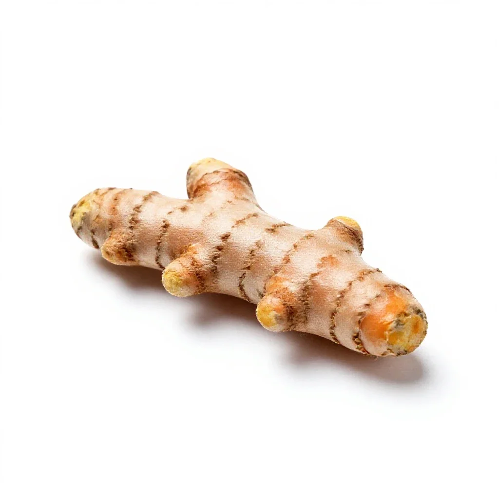 Turmeric root isolated on a white background