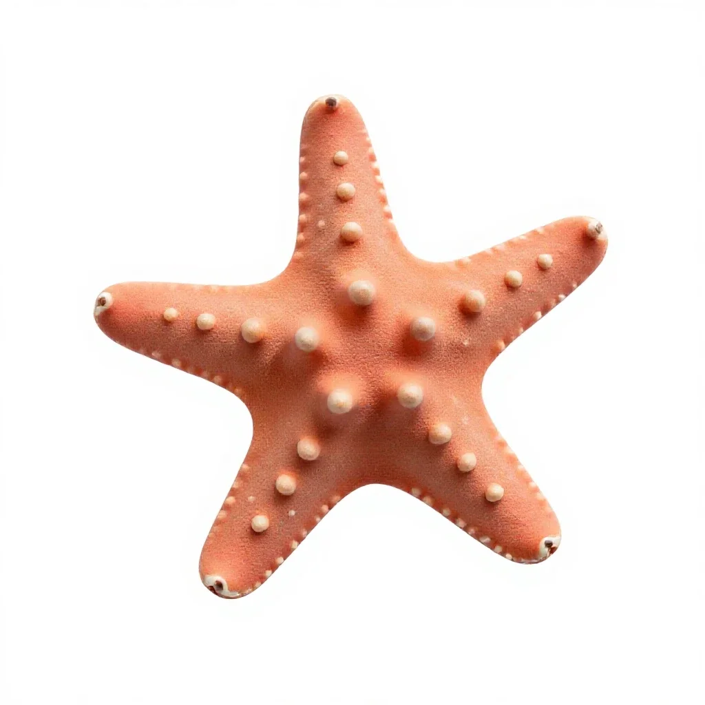 Brittle star isolated on a white background