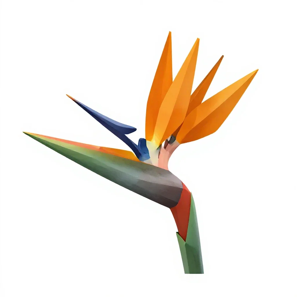 Bird of paradise flower isolated on a white background