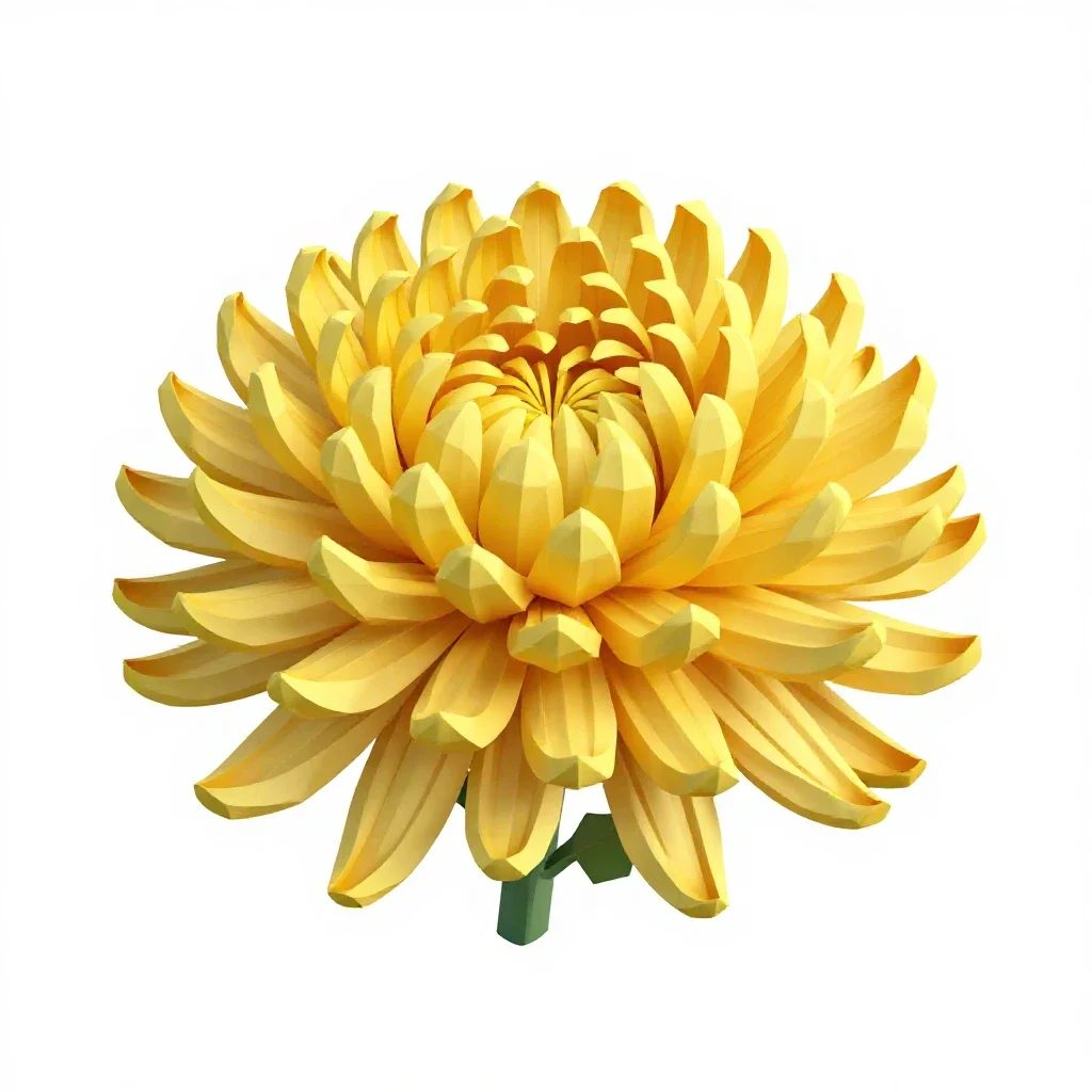 Chrysanthemum isolated on a white background