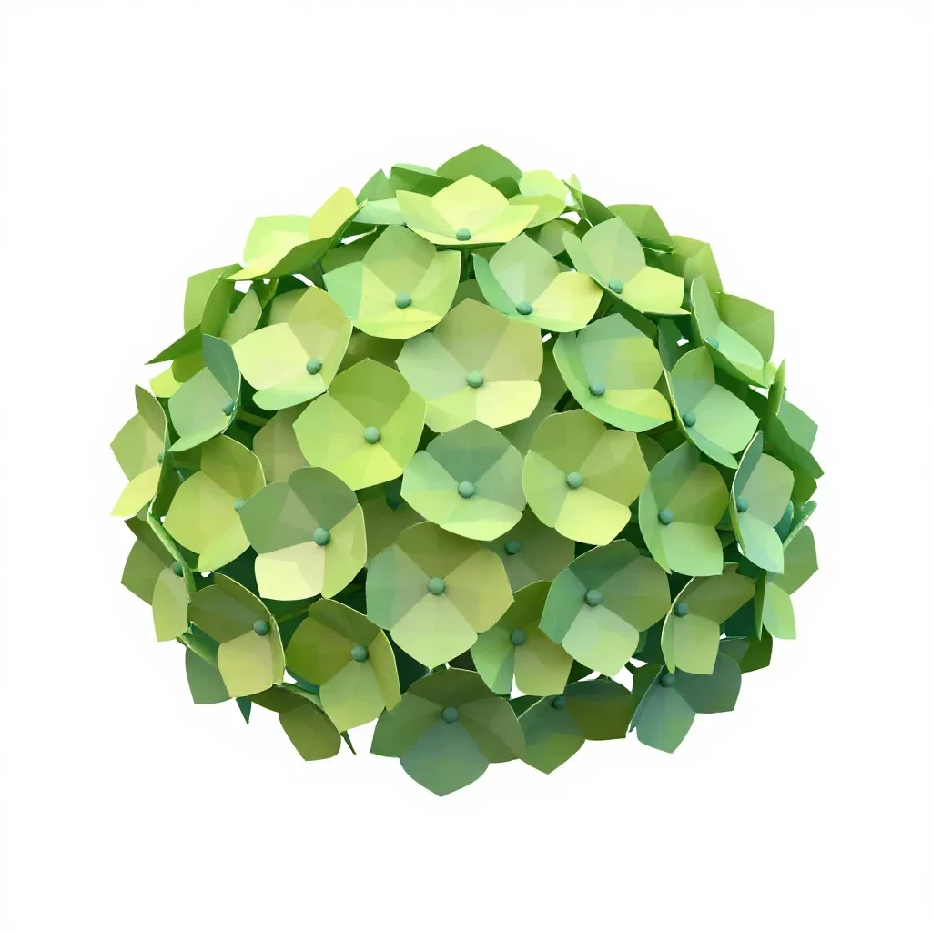 Hydrangea head isolated on a white background