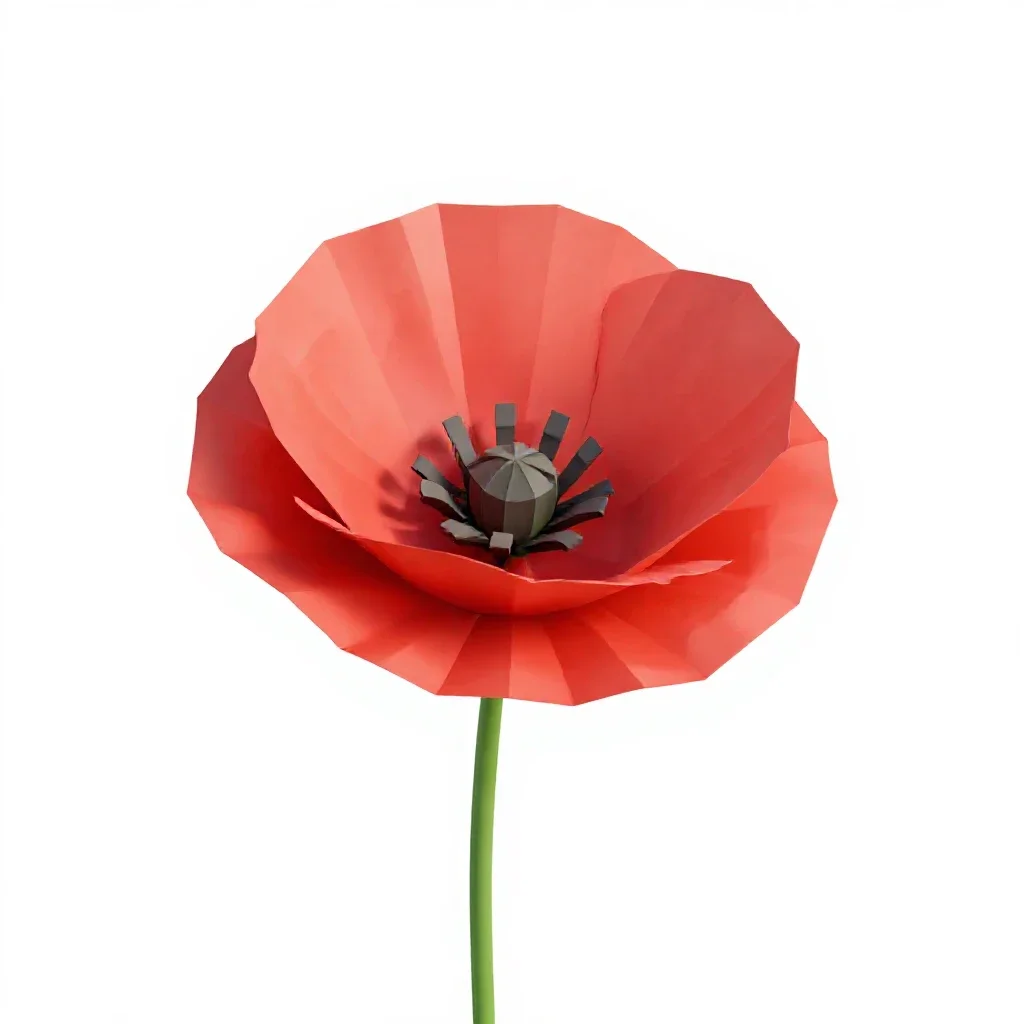 Poppy isolated on a white background