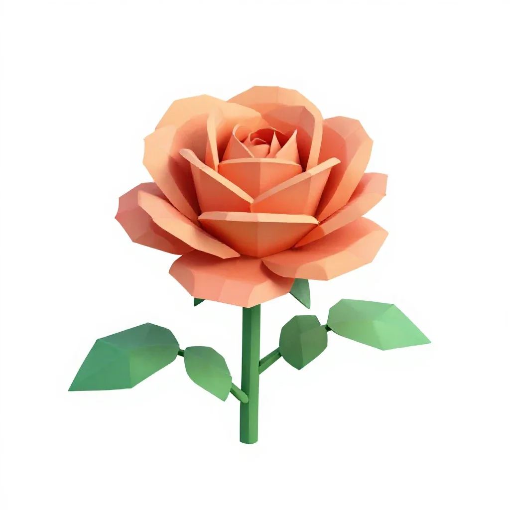 Single garden rose isolated on a white background
