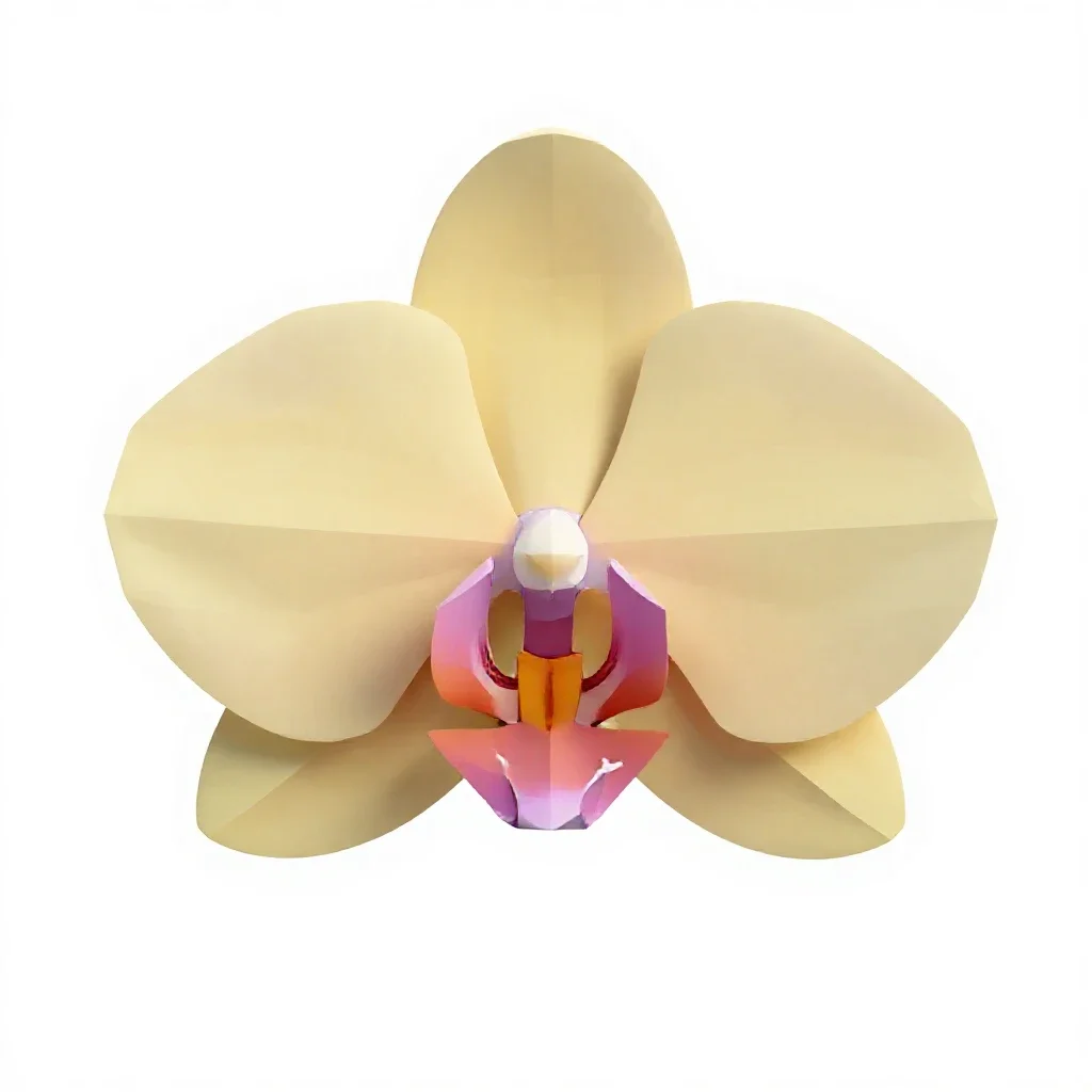 Orchid spray isolated on a white background