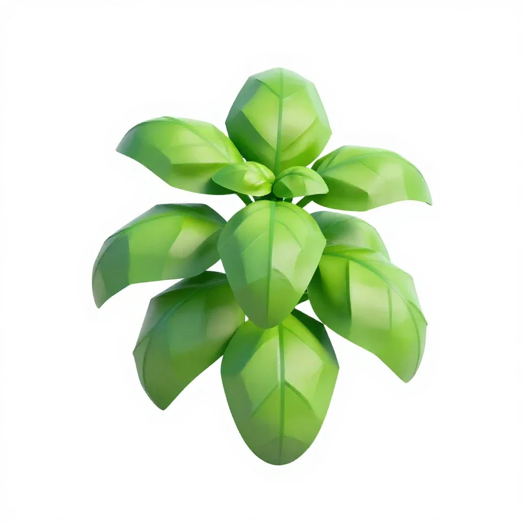 Basil plant isolated on a white background
