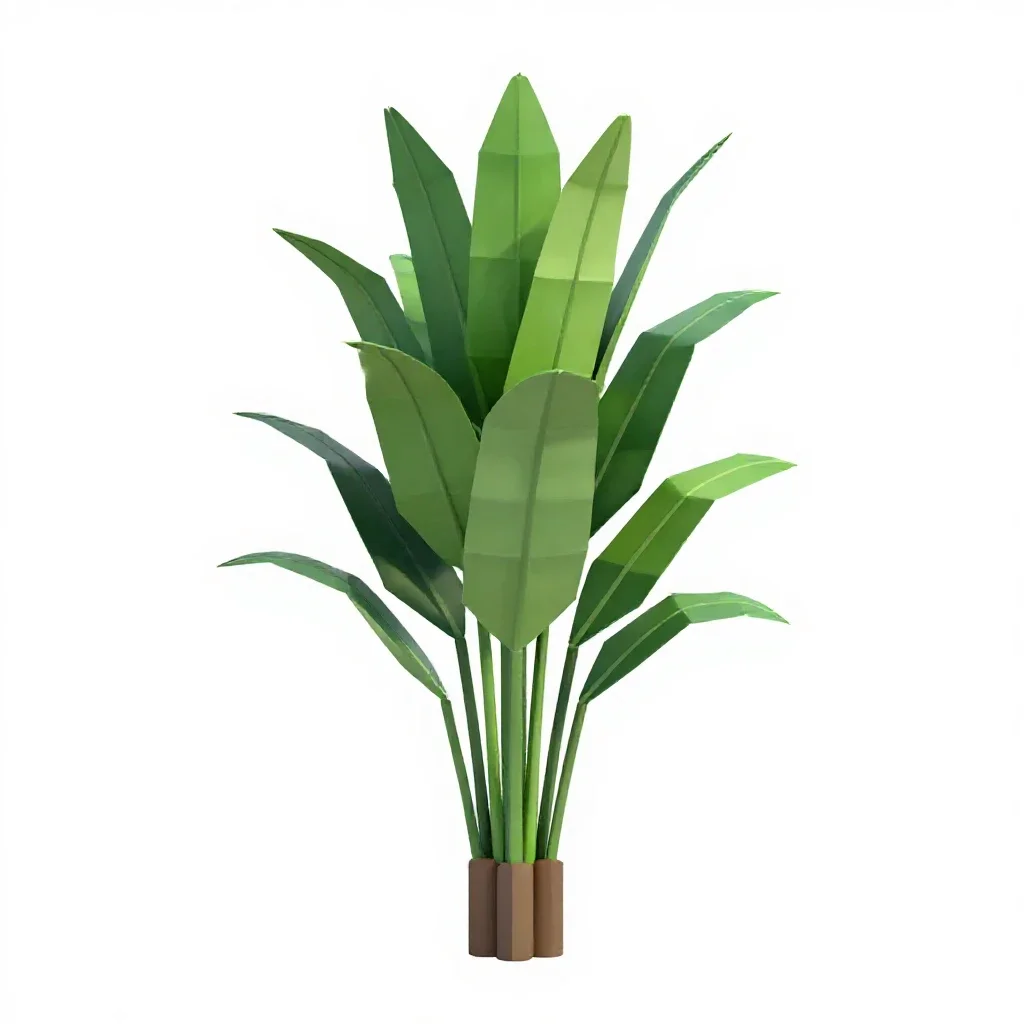 Bird of paradise plant isolated on a white background