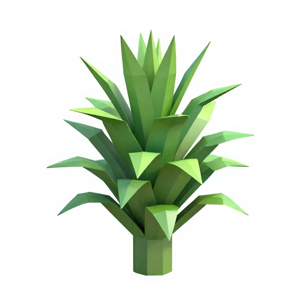 Jade plant isolated on a white background