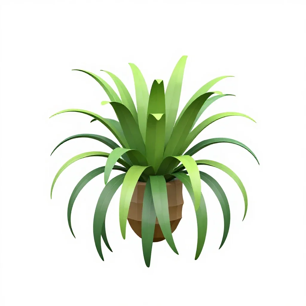 Staghorn fern mounted isolated on a white background