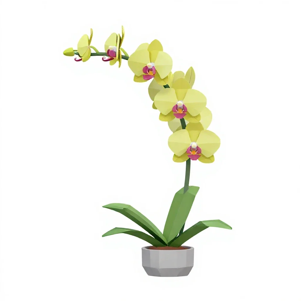 Orchid with arching stems isolated on a white background