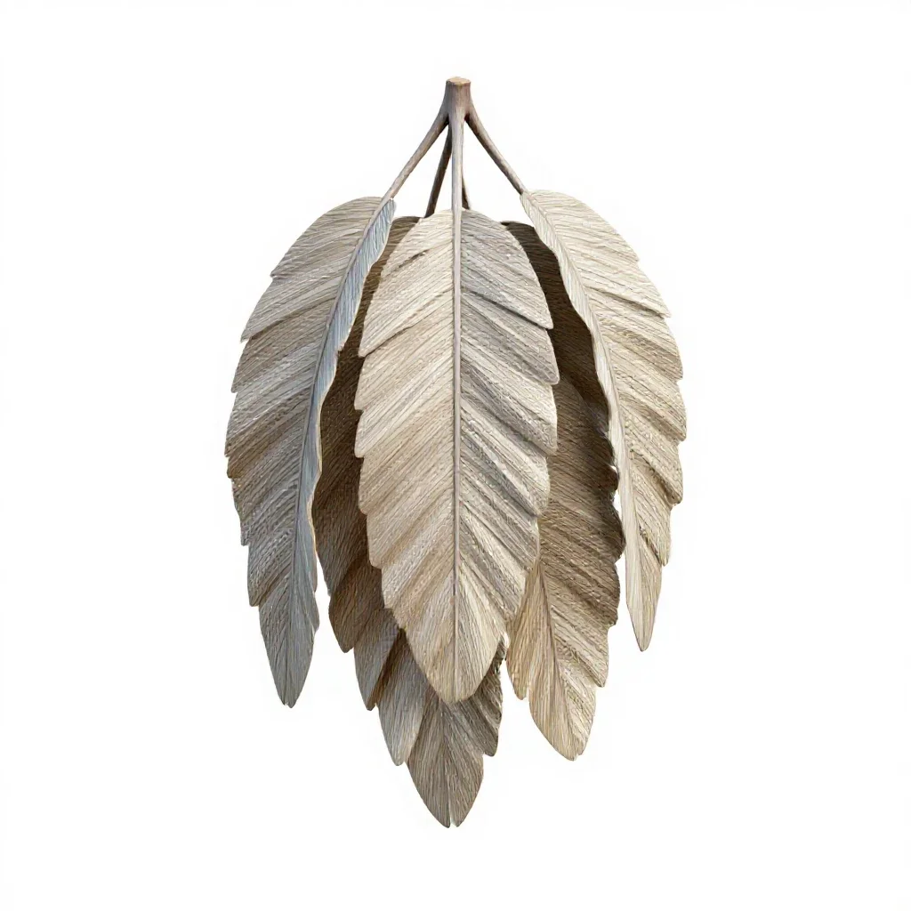Silver beech isolated on a white background