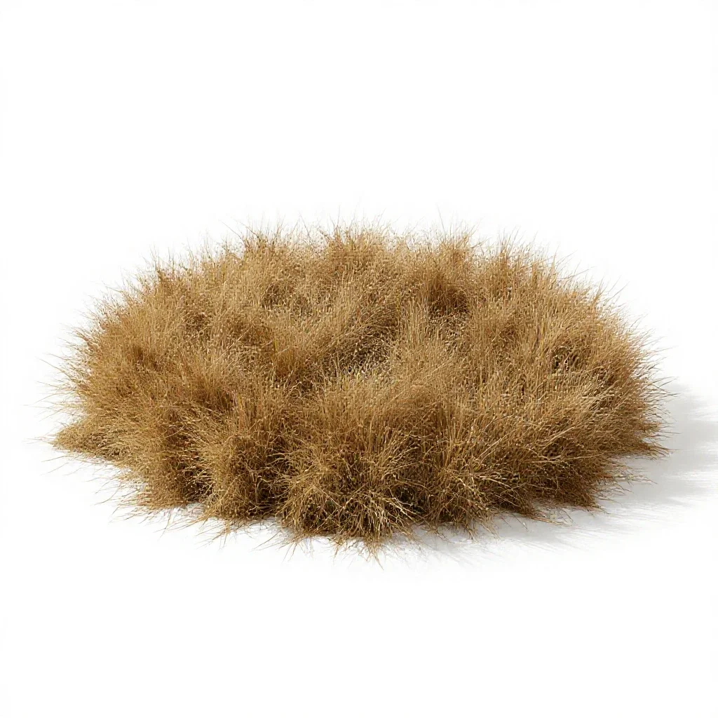 Catchment isolated on a white background
