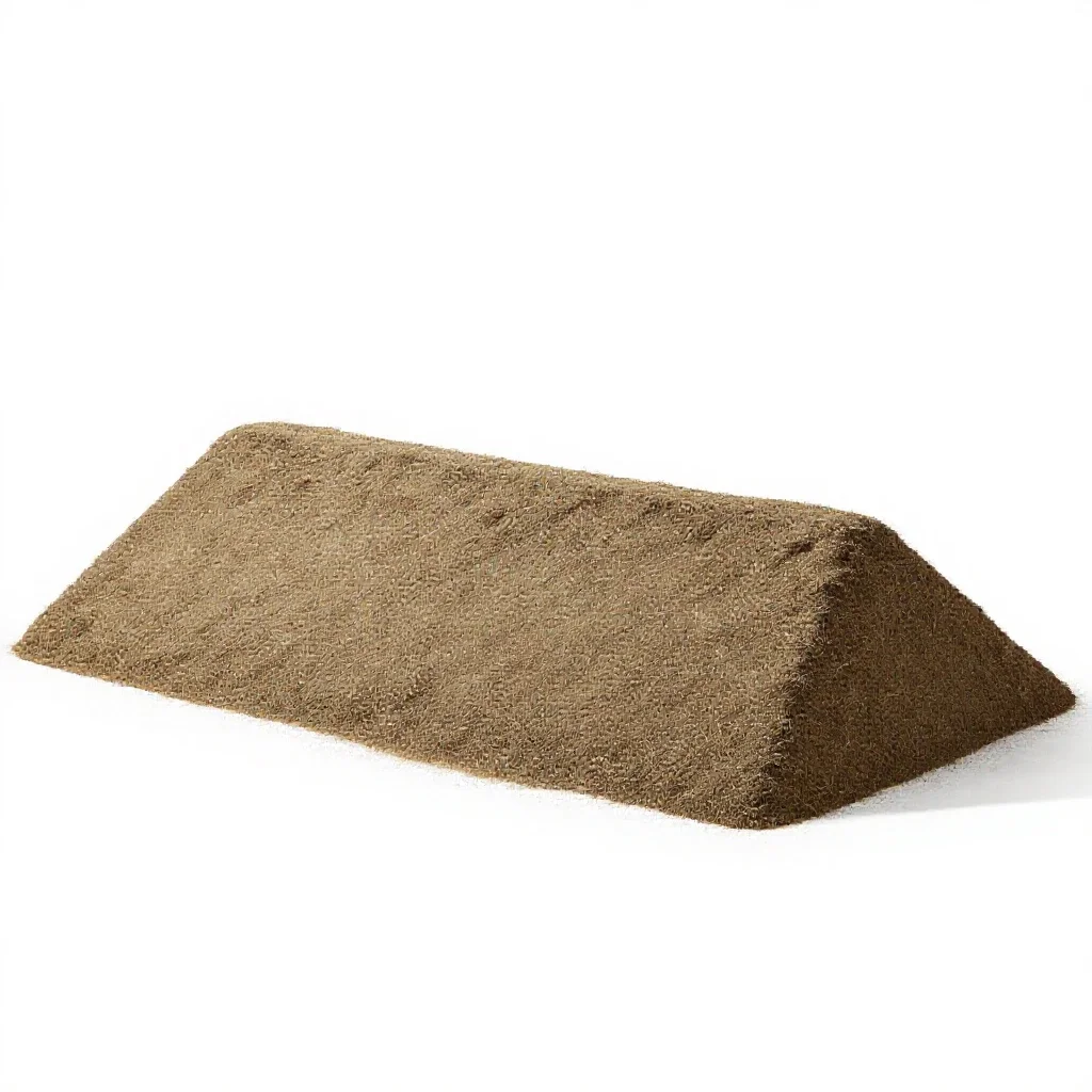 Levee isolated on a white background