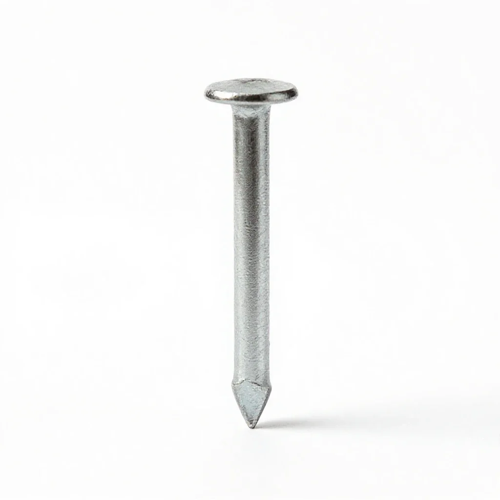 Nailhead isolated on a white background