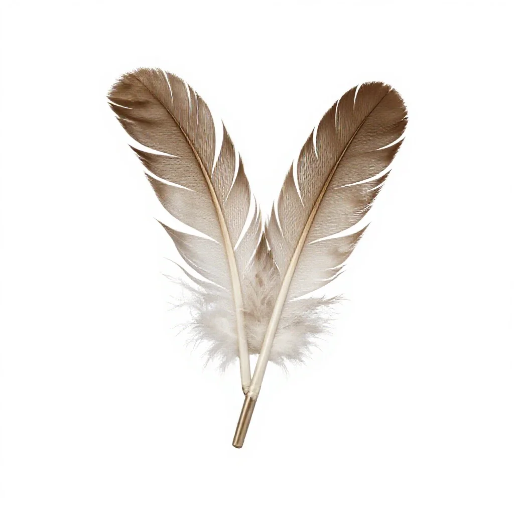 Feather wand toy isolated on a white background