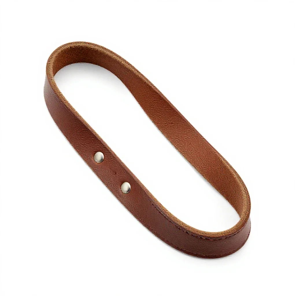 Leather dog lead isolated on a white background