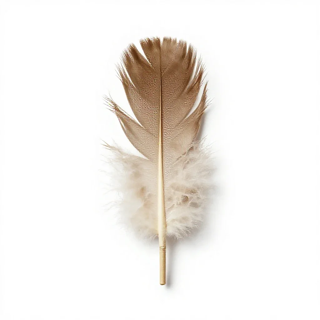 Feather wand toy isolated on a white background