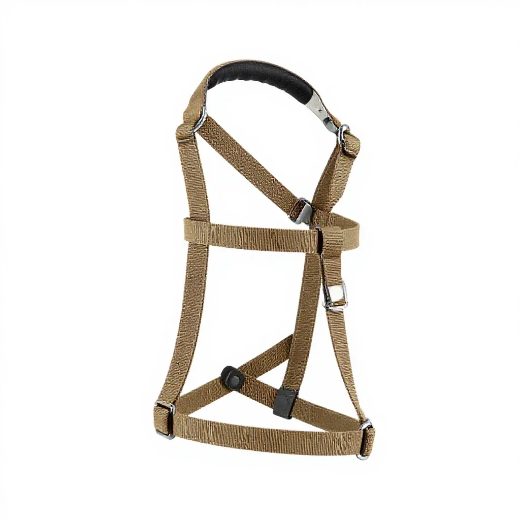 Harness with a handle isolated on a white background