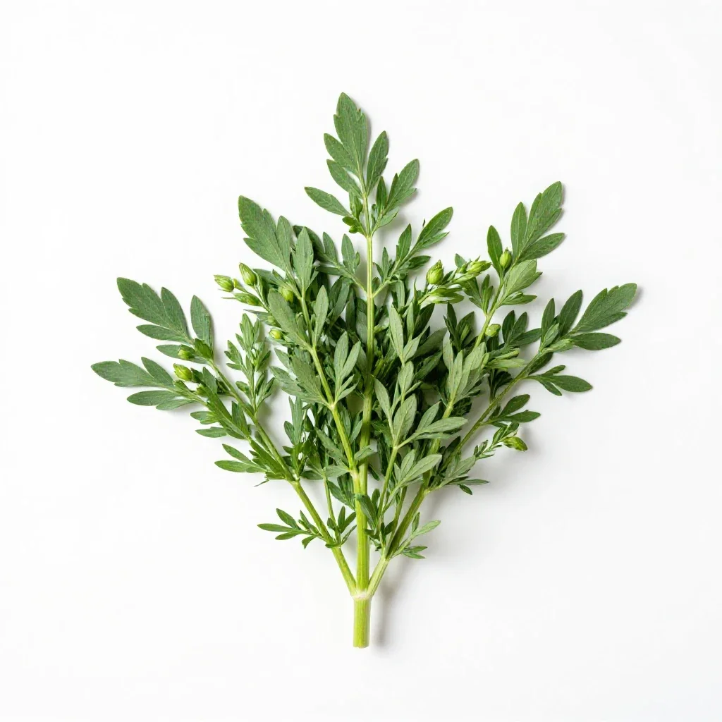 Flax bush isolated on a white background