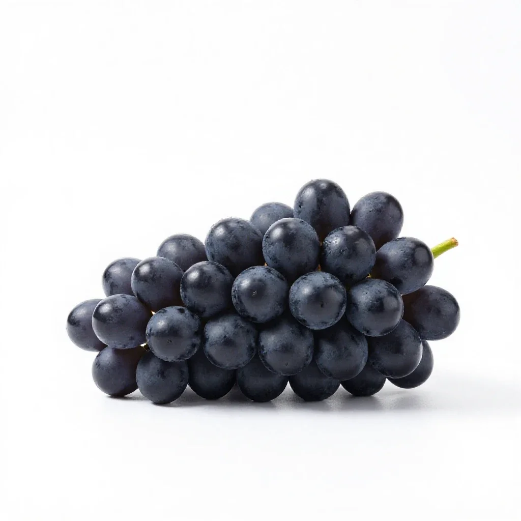Bunch of black grapes isolated on a white background