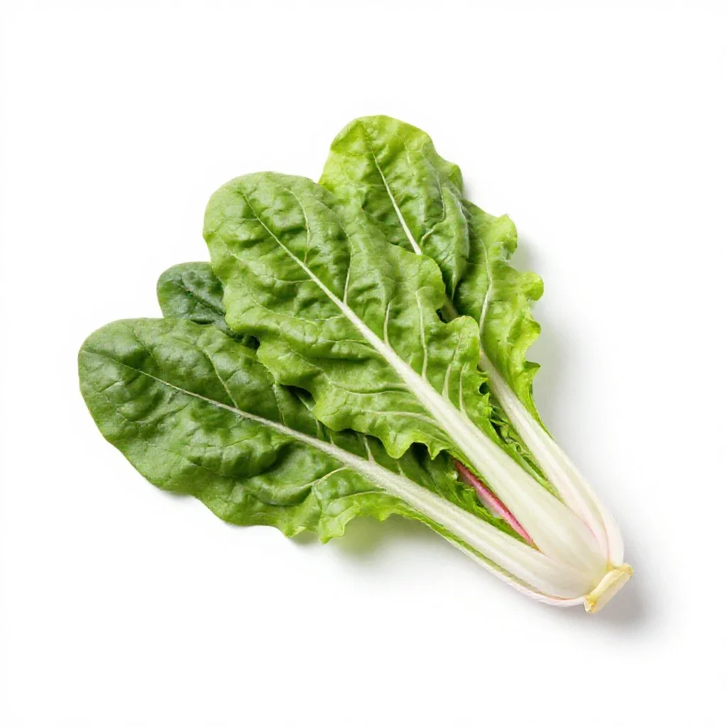Bunch of rainbow chard isolated on a white background