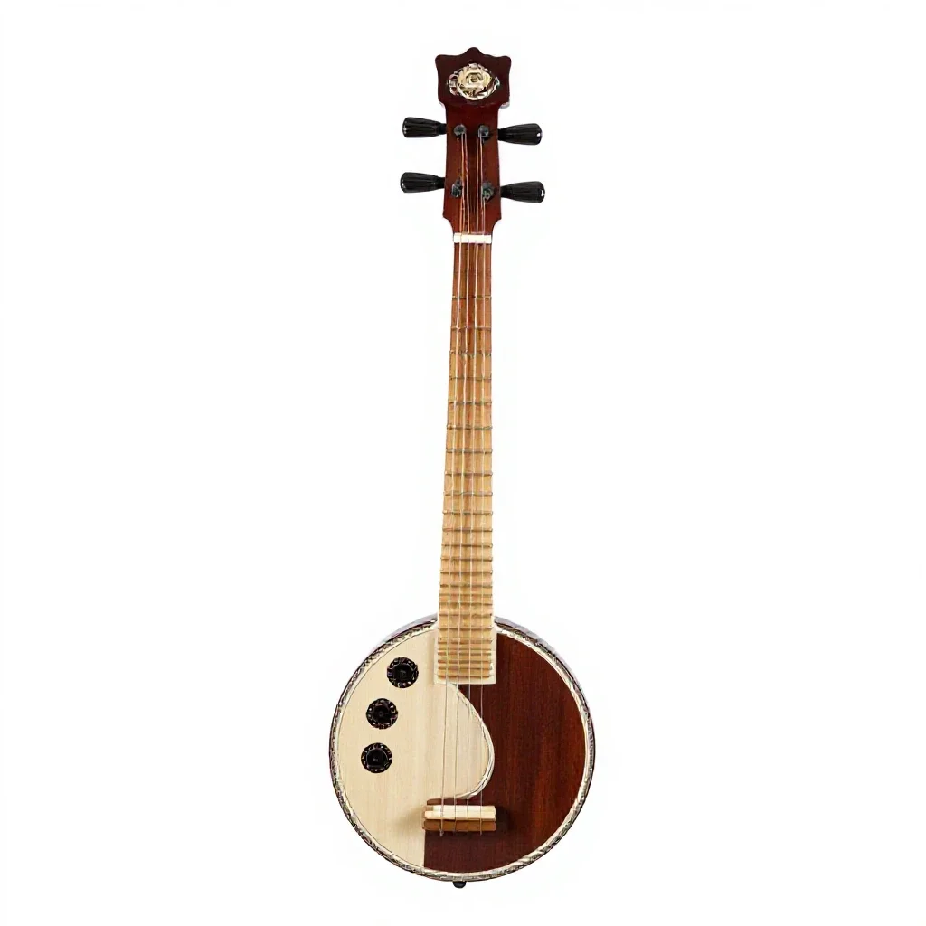 Sitar isolated on a white background