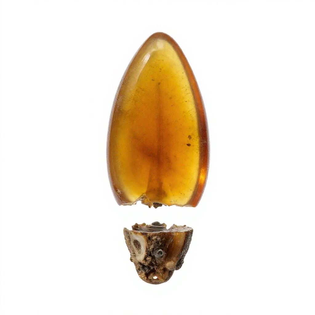 Amber specimen isolated on a white background
